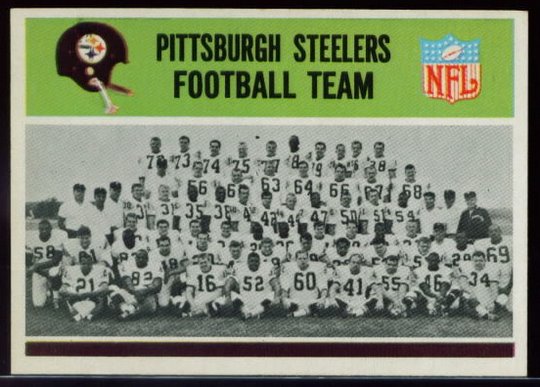 141 Steelers Team Card